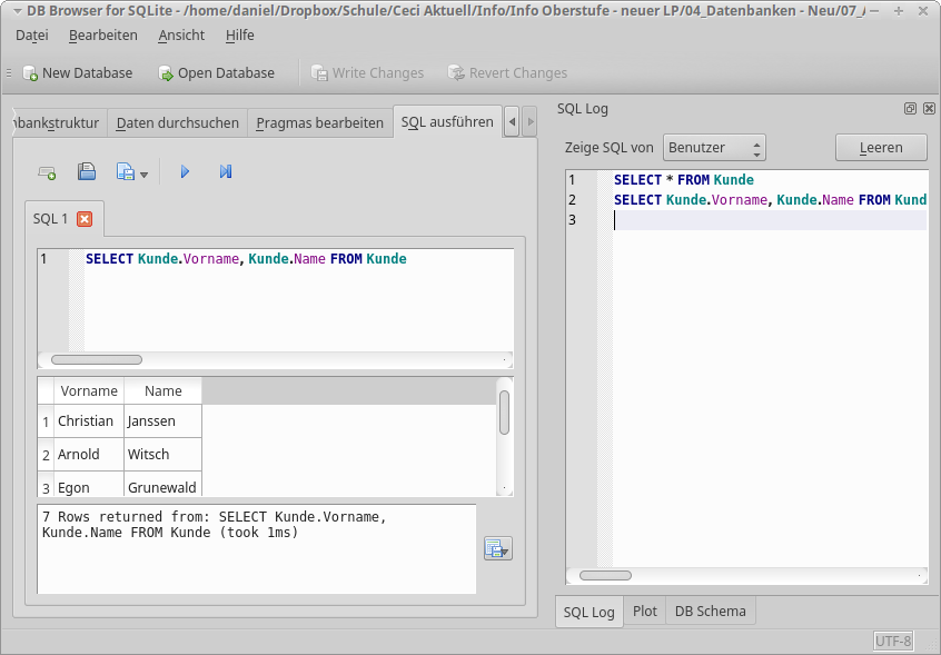 DB Browser in Aktion